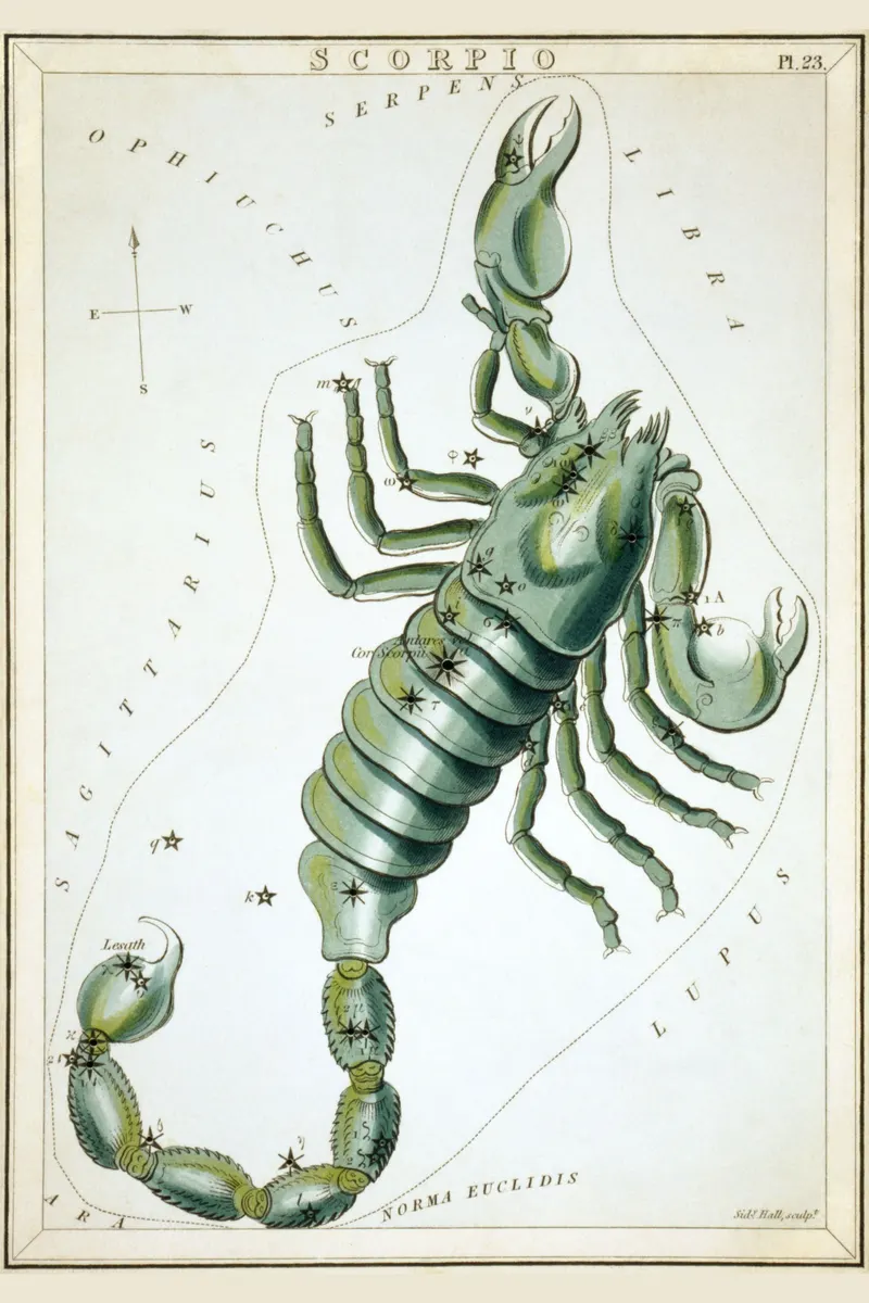 Scorpio, Sidney Hall