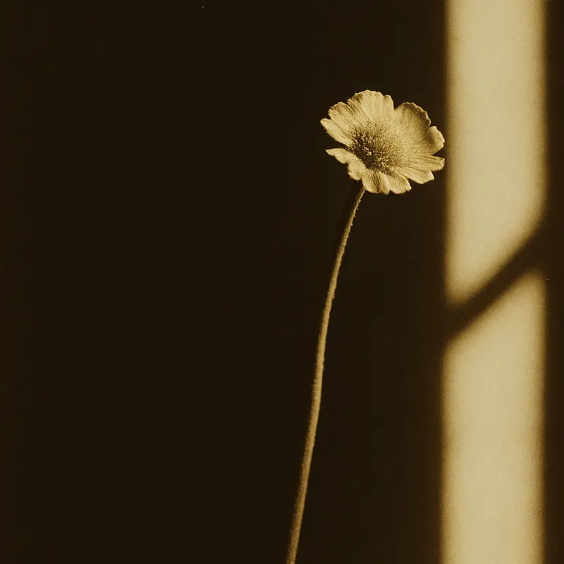 Paper Sun Quiet, Counting House