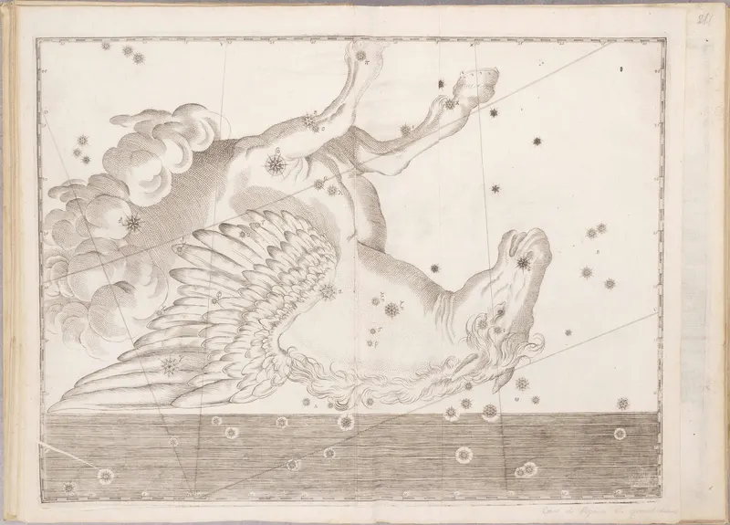 Pegasus, the Winged Horse, after Bayer / Hevelius / Flamsteed