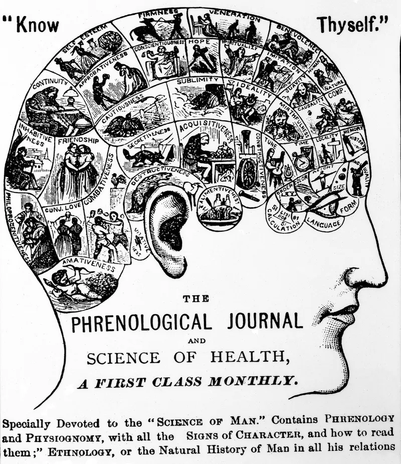 The Symbolical Head, O. S. & L. N. Fowler