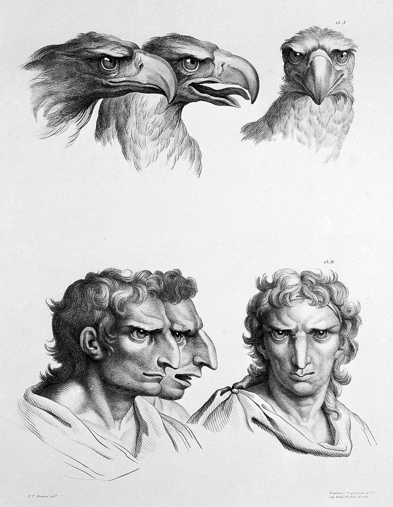 The Man and the Beast, Giambattista della Porta, after Charles Le Brun