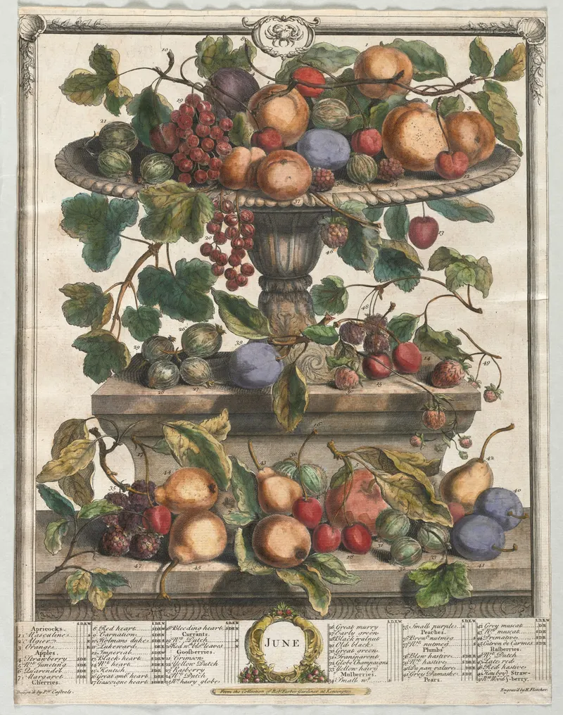 The Twelve Months of Fruit, after Pieter Casteels III, pub. Robert Furber