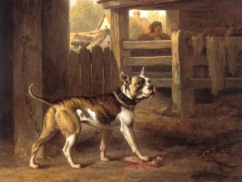 Bulldog, Philip Reinagle
