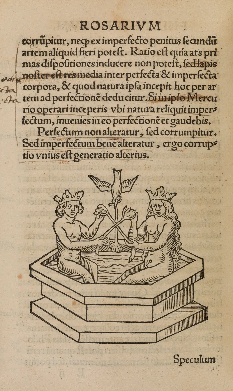 Immersion in the Bath, Unknown (anonymous woodcut artist)