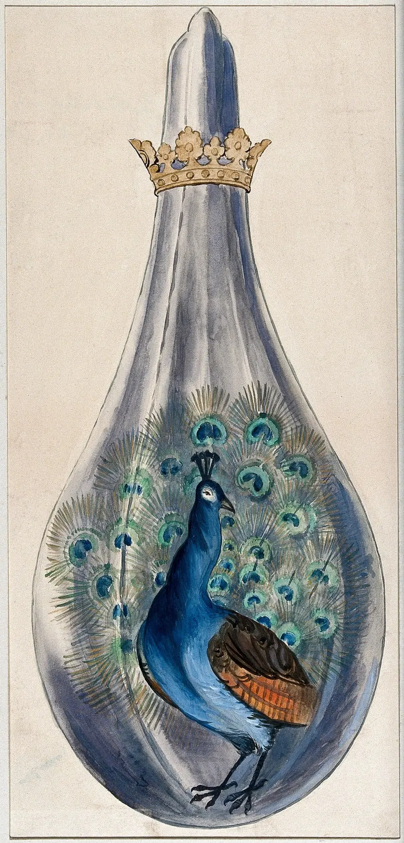 The Peacock's Tail, attributed to Salomon Trismosin