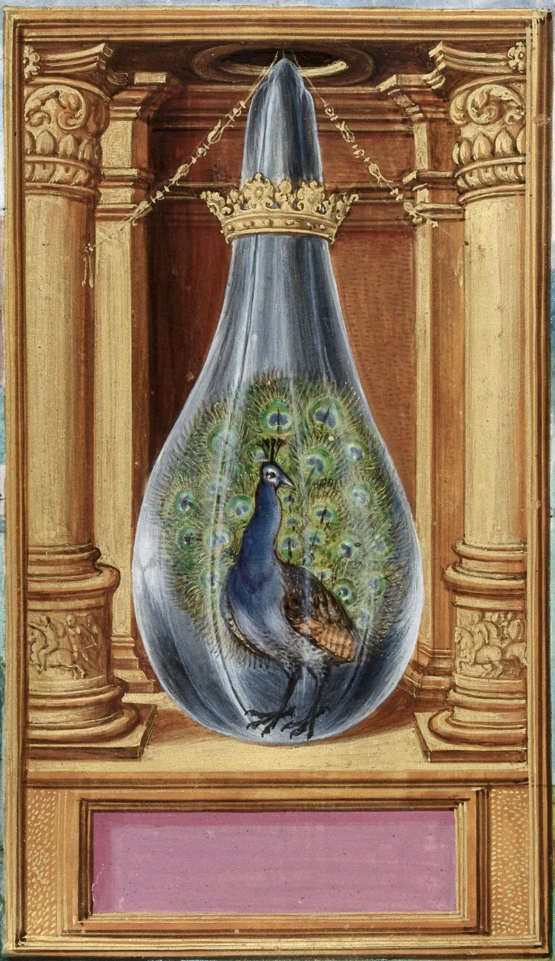 The Peacock’s Tail, Unknown illuminator (text attributed to Salomon Trismosin)