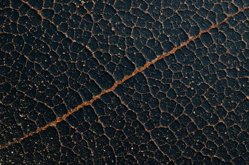 Starfall Texture, Counting House