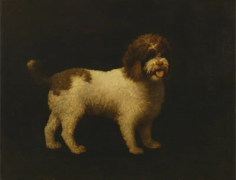Water Spaniel, George Stubbs