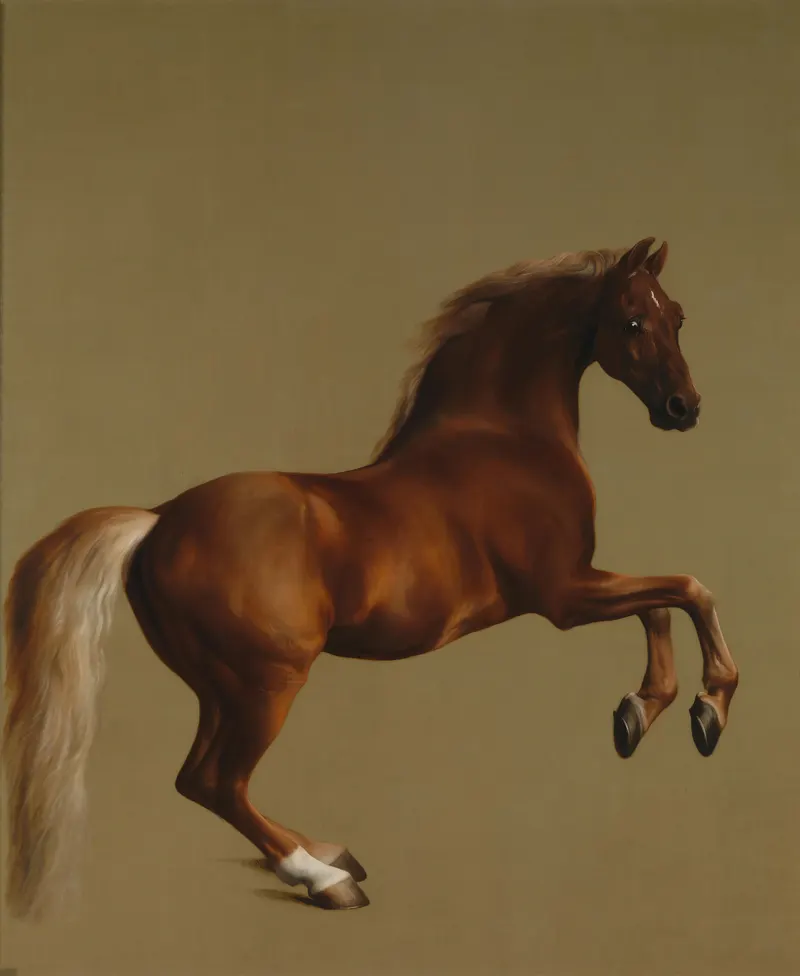 Whistlejacket, George Stubbs