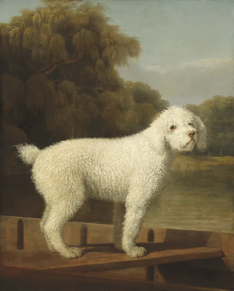 White Poodle in a Punt, George Stubbs