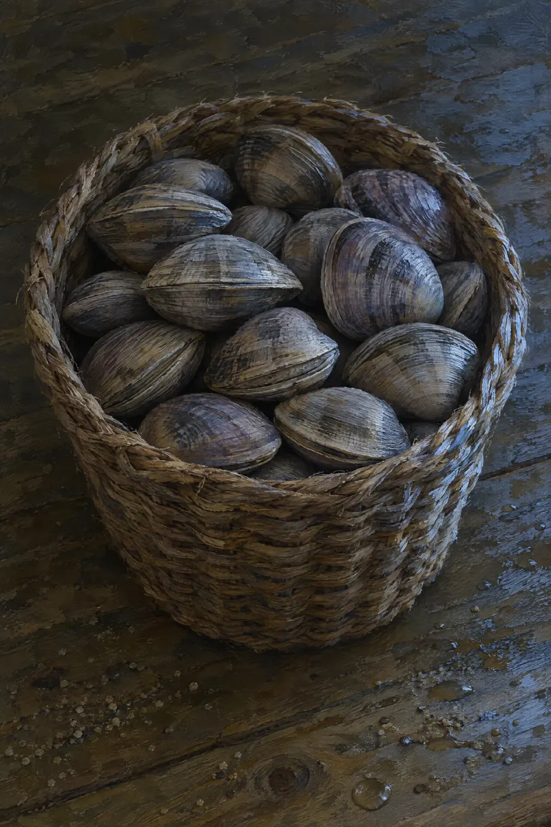 Basket Of Clams, Painted Agency