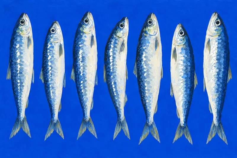 Row Of Sardines, Painted Agency