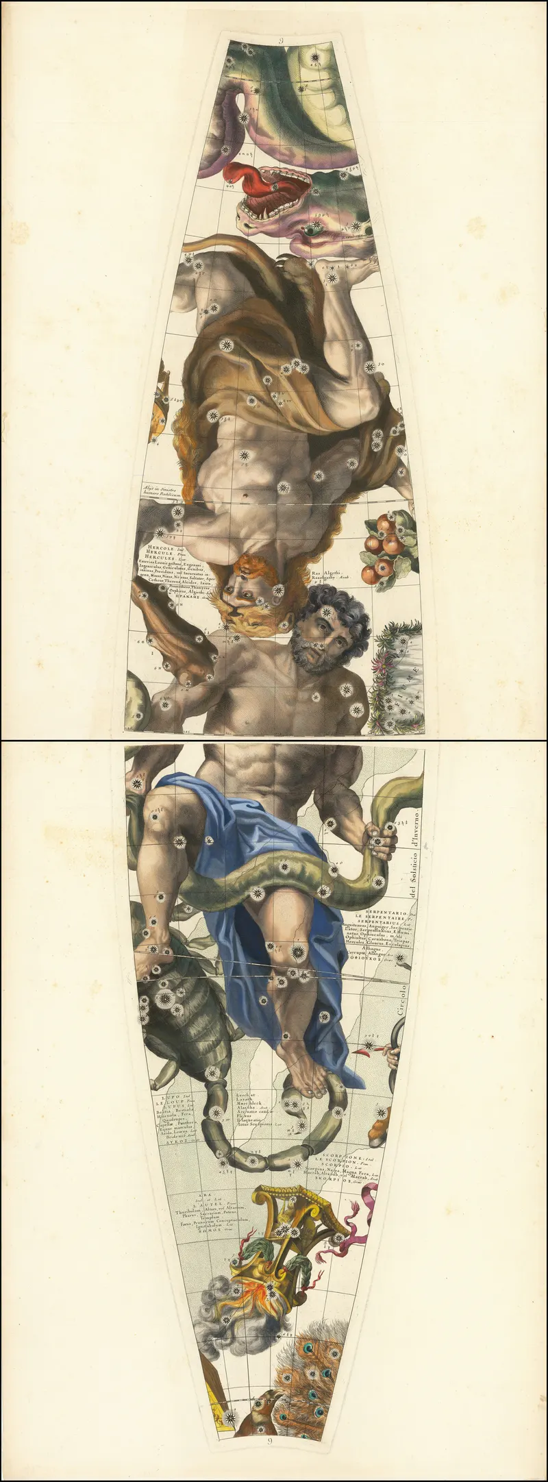 Coronelli's Celestial Globe Gores, Vincenzo Coronelli