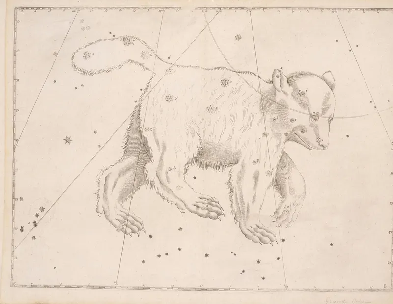 Ursa Major, the Great Bear, after Bayer / Hevelius / Flamsteed