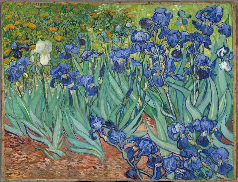 Irises, Vincent van Gogh (1853 to 1890)