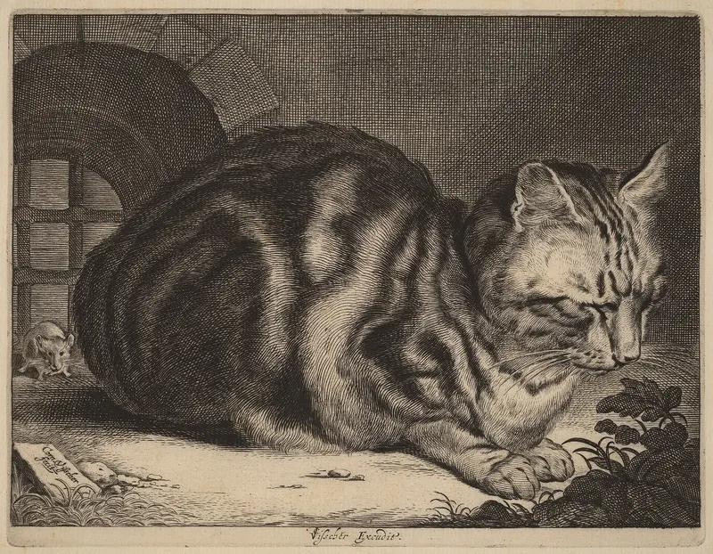 The Large Cat, Cornelis Visscher