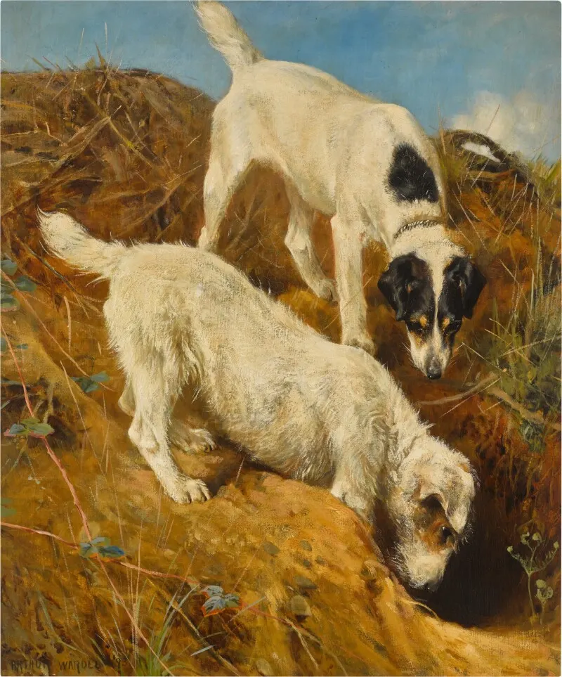 Gone to Ground, Arthur Wardle