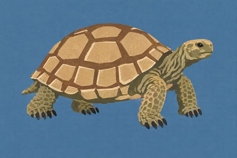 Desert Tortoise On Slate, Painted Agency