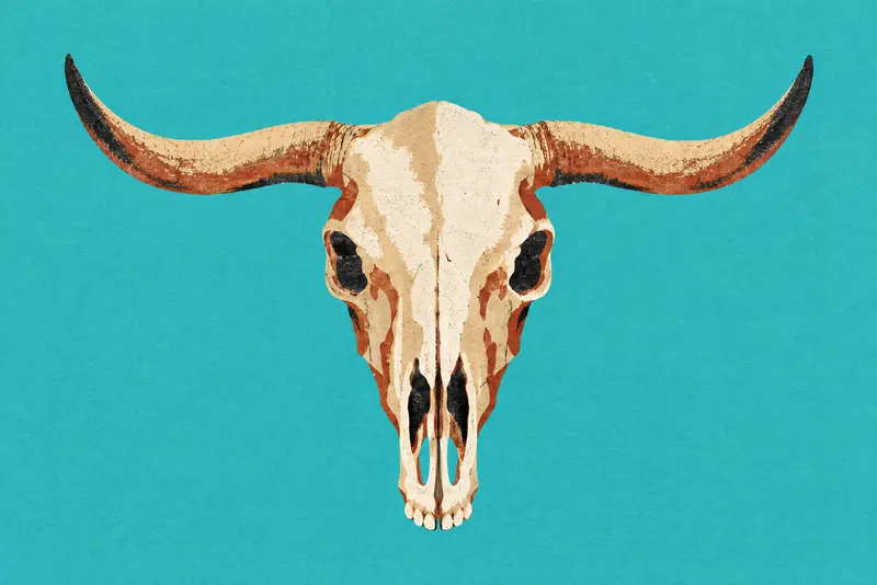 Steer Skull On Turquoise, Painted Agency